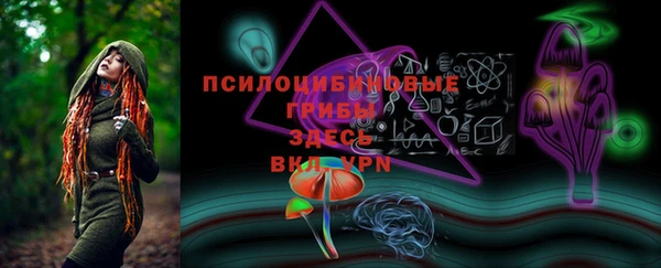 дживик Нягань