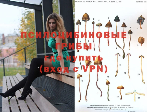 прущие крисы Няндома