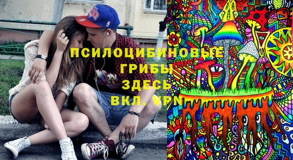 прущие крисы Няндома
