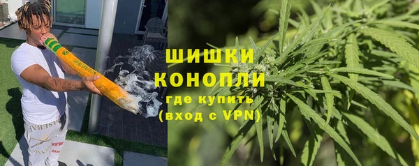дживик Нягань
