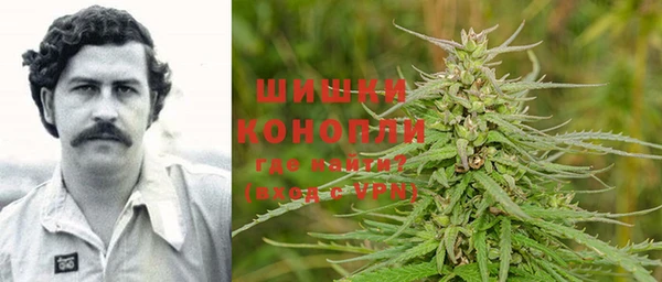 прущие крисы Няндома
